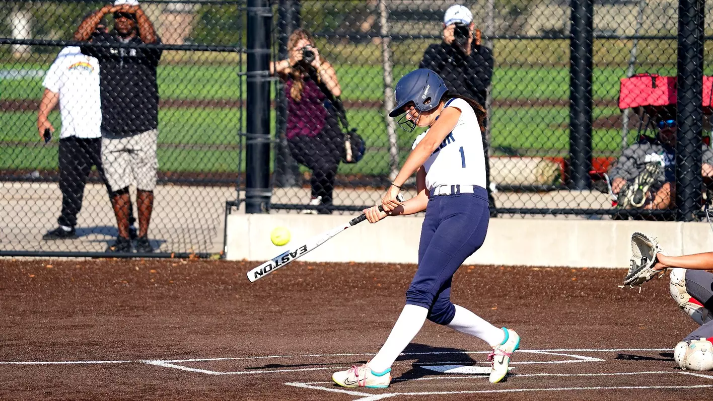 SoftBall Gear Sales -SoftBall Gear Sales crop